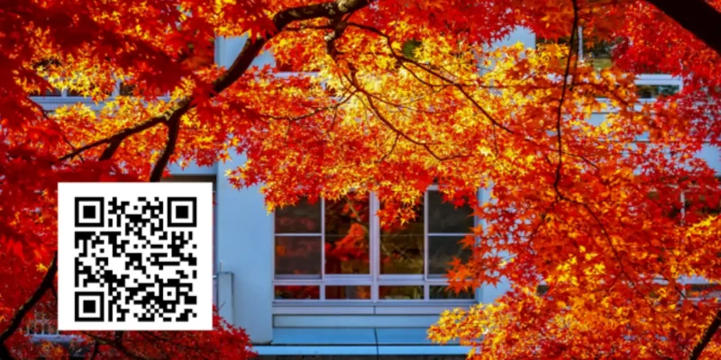 Fall window treatments Better Blinds Sussex County DE