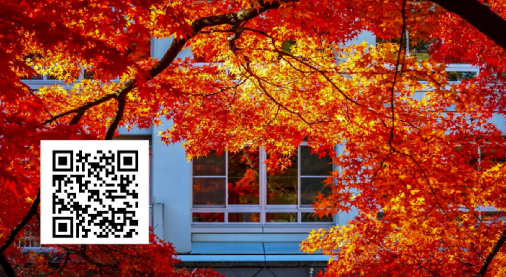 Fall window treatments Better Blinds Sussex County DE
